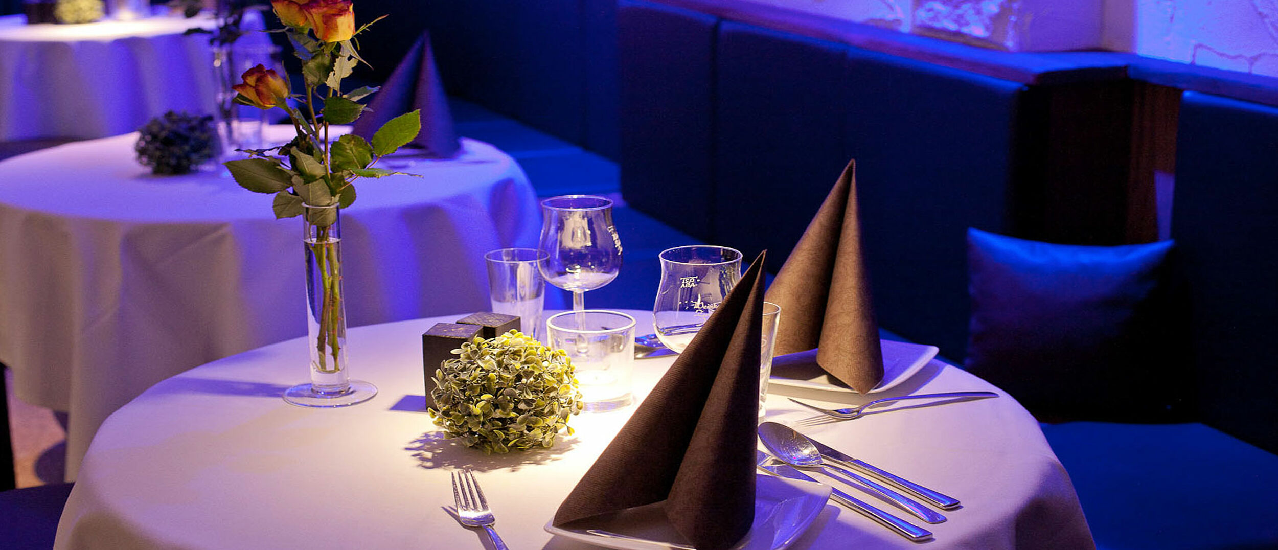 4 Gänge Menü im Restaurant Hotel-Pension „Am Schwanenteich“ Lutherstadt Wittenberg